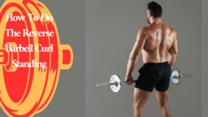 How To Do The Reverse Barbell Curl Standing