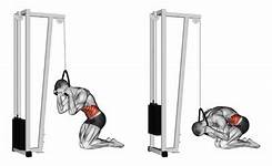 Cable crunch-How To Train Rib Cage Down To Pelvis Cable Crunch Abdominal Exercise