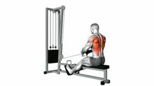 How To Do The Seated Cable Rows Back Training Exercise.