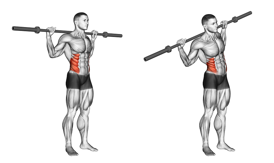 Abdominal Side Bends-How To Do The Barbell Abdominal Side Bend Obliques Exercise