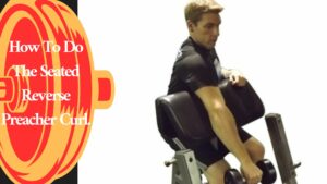 How To Do The Seated Reverse Preacher Curl.
