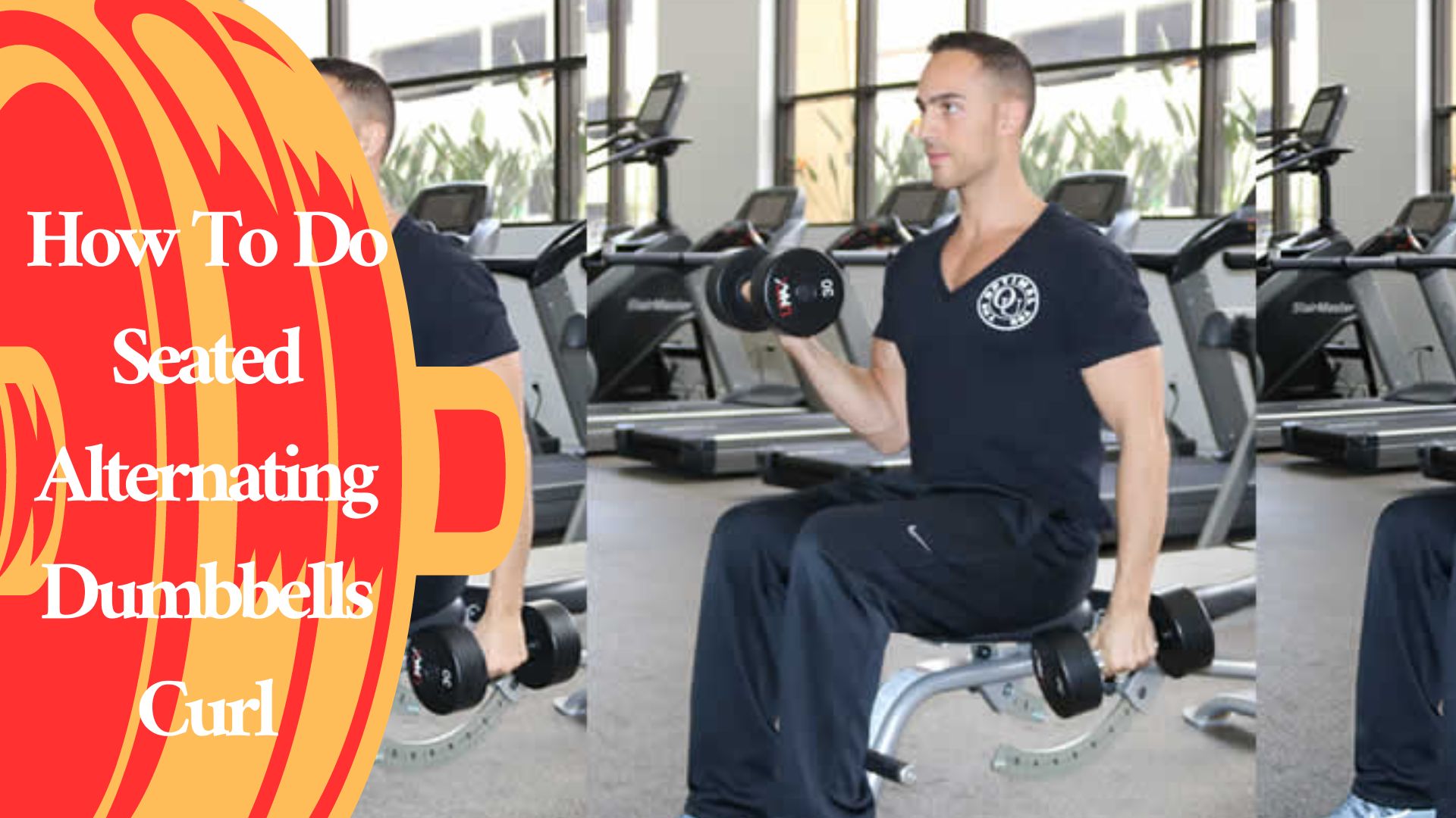 How To Do Seated Alternating Dumbbells Curl