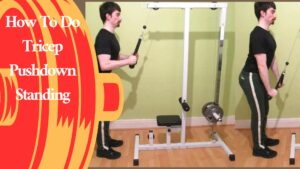 How To Do Tricep Pushdown Standing