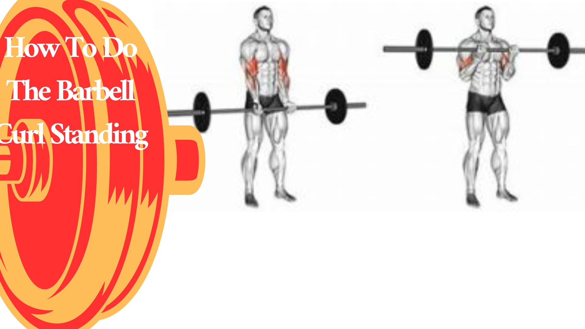 How To Do The Barbell Curl Standing How To Train To Fit