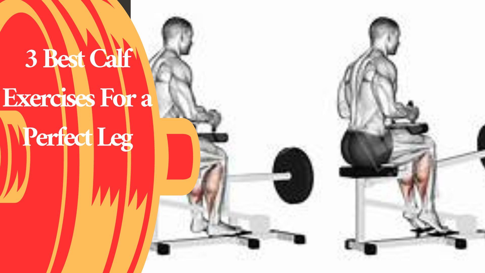 3 Best Calf Exercises For a Perfect Leg