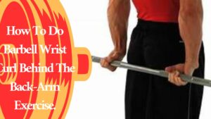 How To Do Barbell Wrist Curl Behind The Back-Arm Exercise.