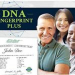 DNA Fingerprint Plus Ancestry Test