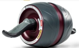 Ab Rollers -What Are The Small Home Exercise Equipments To Train & Lose Excess Calories?